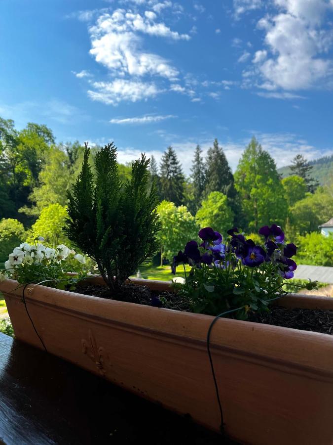 بوبارد Park Villa Zentral Am Mittelrhein - Zimmer & Apartments المظهر الخارجي الصورة